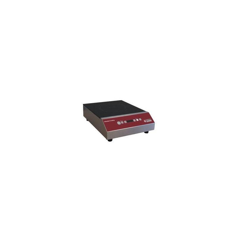 PLAQUE A INDUCTION 3,5 kW TOUCHES TACTILES PLAQUE A INDUCTION 3,5 kW TOUCHES TACTILES