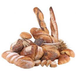 Four boulangerie à sole électrique 10 bouches REAL FORNI
