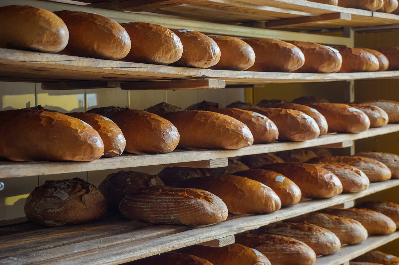 Le four, le premier des matériels de boulangeries !