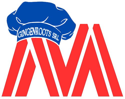 MATERIEL HORECA (GINGENROOTS SRL) 